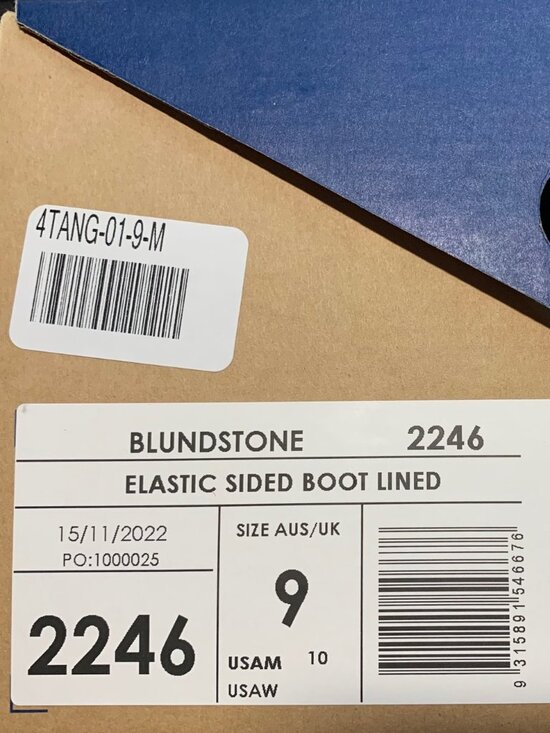 Blundstone Men\'s 2105 Rainbow Chelsea Boots  Leather, US Size 10 NEW with BOX main image 4